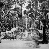 Desenho Burle Marx
