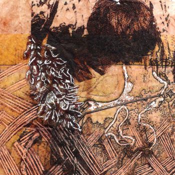 Cartão Assurini kafuevi.