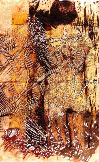 Kayapó india costas dois