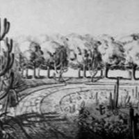 Desenho Burle Marx