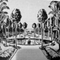 Desenho Burle Marx