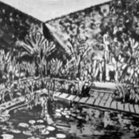 Desenho Burle Marx