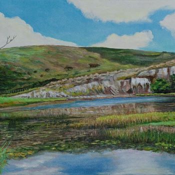 Lagoa em Bonito  PE - 0.40 x 0.90 - 2011