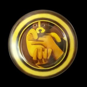 Reynaldo Fonseca - Cachorro